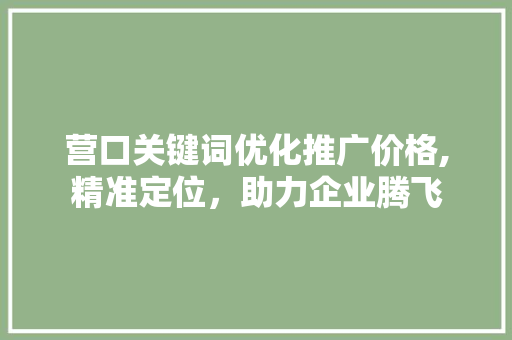 营口关键词优化推广价格,精准定位，助力企业腾飞