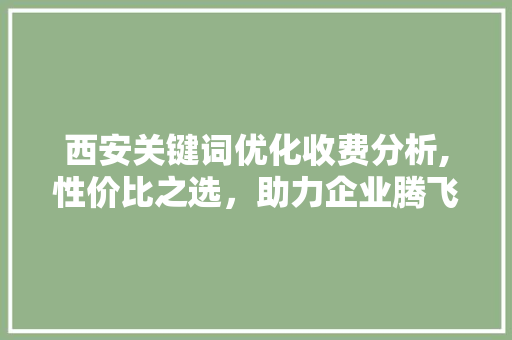 西安关键词优化收费分析,性价比之选，助力企业腾飞