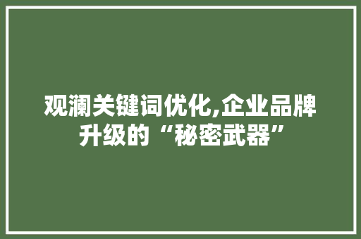 观澜关键词优化,企业品牌升级的“秘密武器”