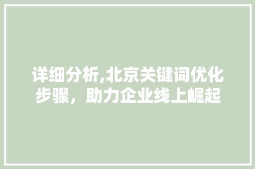 详细分析,北京关键词优化步骤,助力企业线上崛起 详细分析,北京关键词优化步骤,助力企业线上崛起