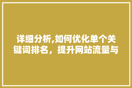 详细分析,如何优化单个关键词排名，提升网站流量与品牌影响力