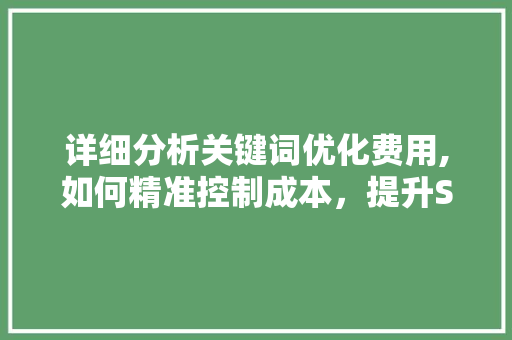 详细分析关键词优化费用,如何精准控制成本，提升SEO效果