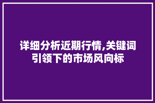 详细分析近期行情,关键词引领下的市场风向标