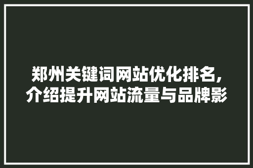 郑州关键词网站优化排名,介绍提升网站流量与品牌影响力的方法