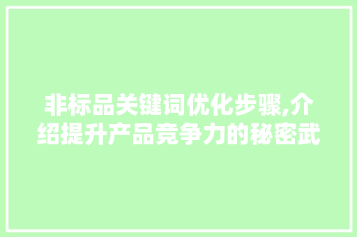 非标品关键词优化步骤,介绍提升产品竞争力的秘密武器
