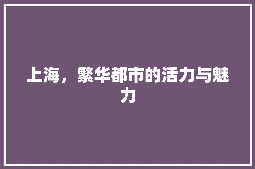 上海，繁华都市的活力与魅力