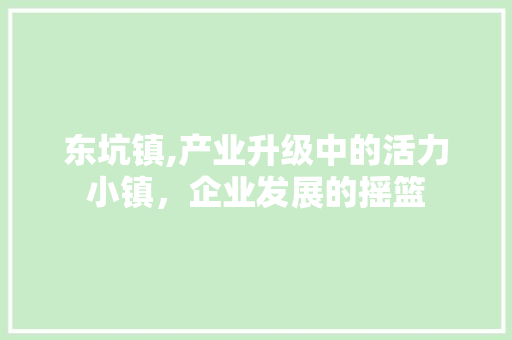 东坑镇,产业升级中的活力小镇，企业发展的摇篮