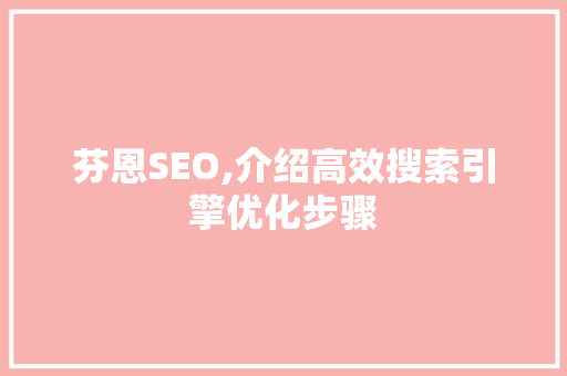 芬恩SEO,介绍高效搜索引擎优化步骤