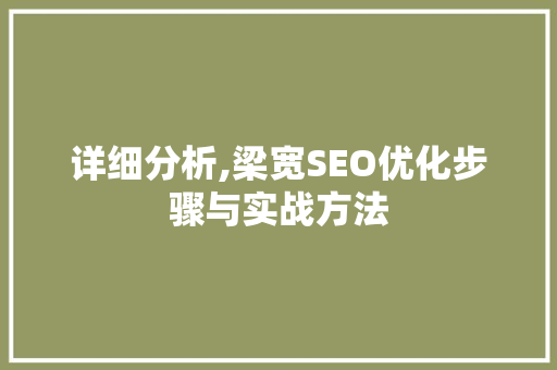 详细分析,梁宽SEO优化步骤与实战方法