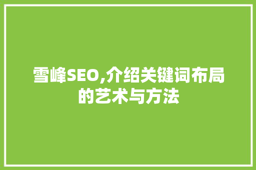 雪峰SEO,介绍关键词布局的艺术与方法