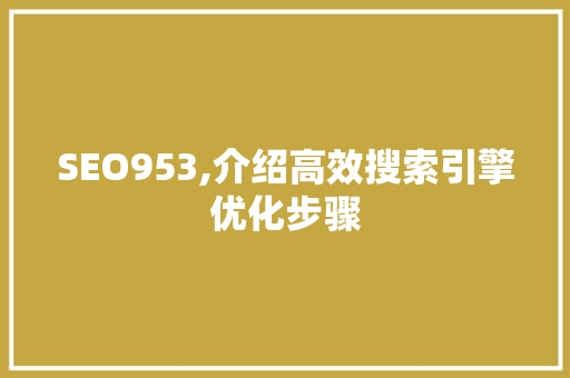 SEO953,介绍高效搜索引擎优化步骤
