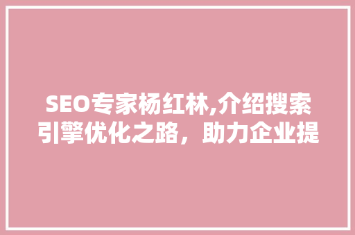 SEO专家杨红林,介绍搜索引擎优化之路，助力企业提升品牌影响力