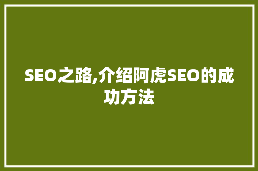 SEO之路,介绍阿虎SEO的成功方法