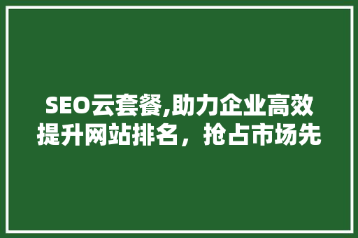 SEO云套餐,助力企业高效提升网站排名，抢占市场先机