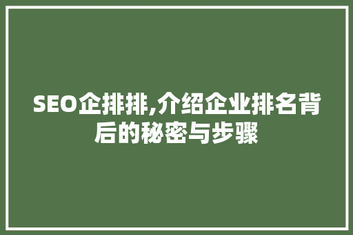 SEO企排排,介绍企业排名背后的秘密与步骤