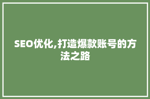 SEO优化,打造爆款账号的方法之路