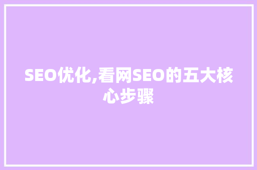 SEO优化,看网SEO的五大核心步骤