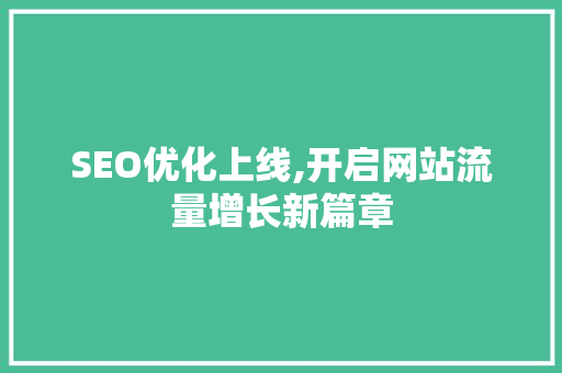 SEO优化上线,开启网站流量增长新篇章