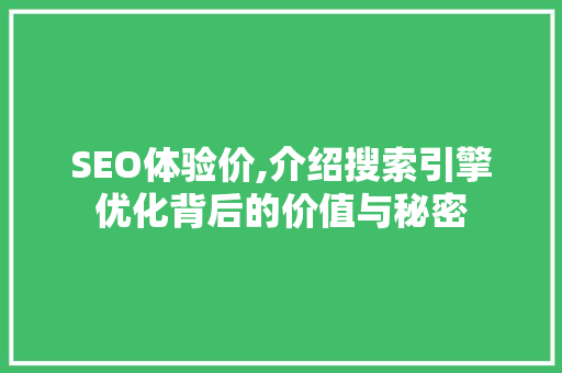 SEO体验价,介绍搜索引擎优化背后的价值与秘密