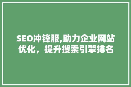 SEO冲锋服,助力企业网站优化，提升搜索引擎排名