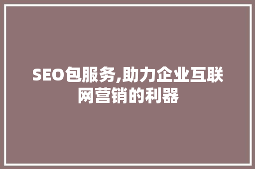 SEO包服务,助力企业互联网营销的利器