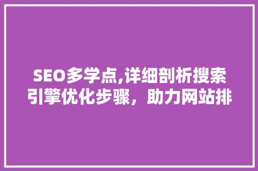 SEO多学点,详细剖析搜索引擎优化步骤，助力网站排名提升 电脑基础