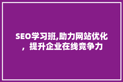 SEO学习班,助力网站优化，提升企业在线竞争力