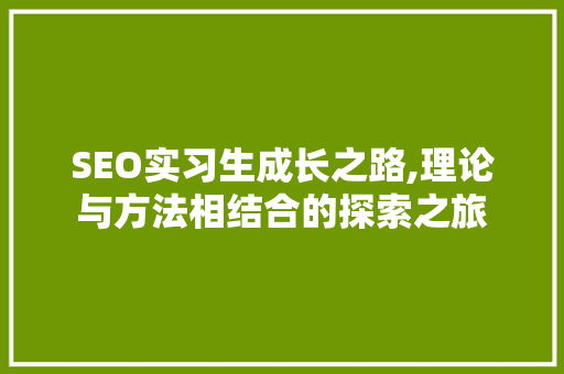 SEO实习生成长之路,理论与方法相结合的探索之旅