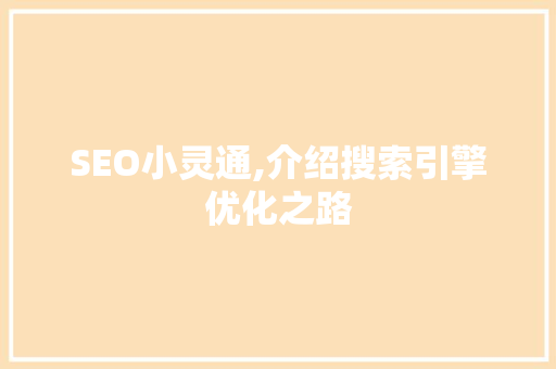 SEO小灵通,介绍搜索引擎优化之路