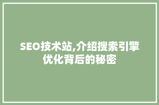 SEO技术站,介绍搜索引擎优化背后的秘密 网络技术