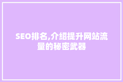 SEO排名,介绍提升网站流量的秘密武器