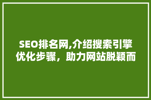 SEO排名网,介绍搜索引擎优化步骤，助力网站脱颖而出