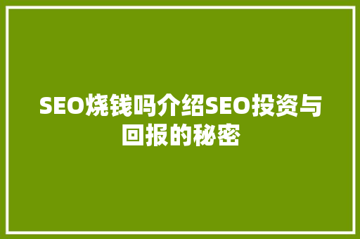 SEO烧钱吗介绍SEO投资与回报的秘密 网络技术