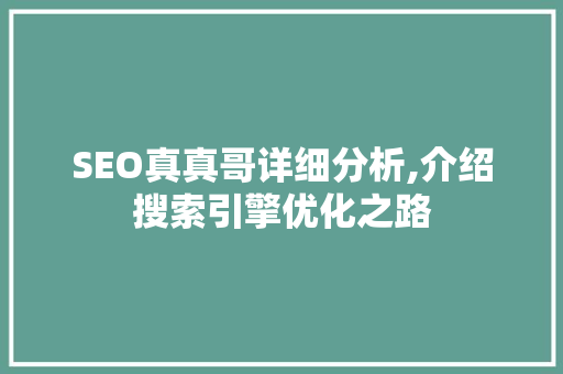 SEO真真哥详细分析,介绍搜索引擎优化之路