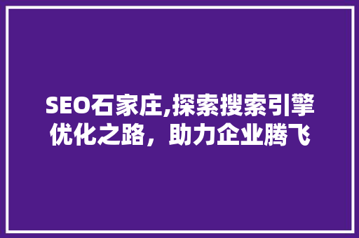 SEO石家庄,探索搜索引擎优化之路，助力企业腾飞