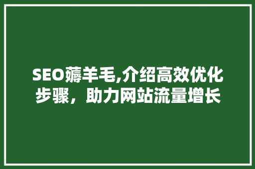 SEO薅羊毛,介绍高效优化步骤，助力网站流量增长