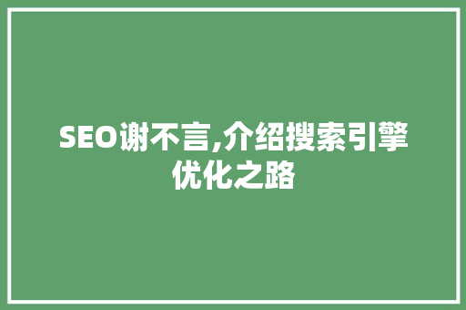 SEO谢不言,介绍搜索引擎优化之路 编程语言