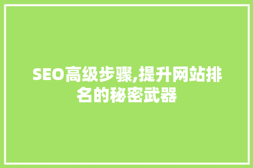 SEO高级步骤,提升网站排名的秘密武器 编程语言