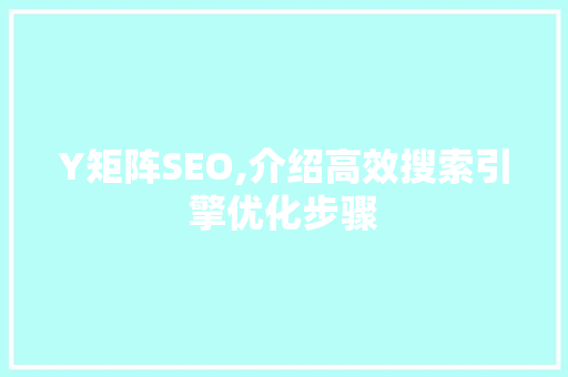 Y矩阵SEO,介绍高效搜索引擎优化步骤