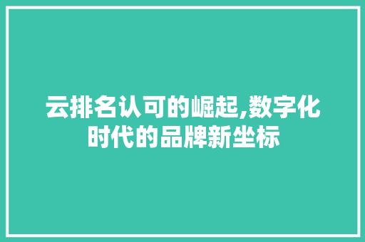 云排名认可的崛起,数字化时代的品牌新坐标