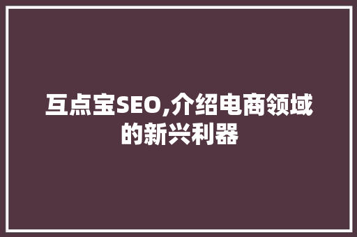 互点宝SEO,介绍电商领域的新兴利器