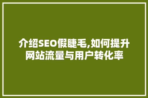 介绍SEO假睫毛,如何提升网站流量与用户转化率