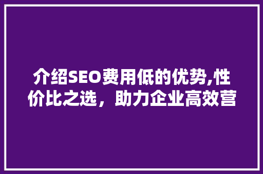 介绍SEO费用低的优势,性价比之选，助力企业高效营销 网络技术