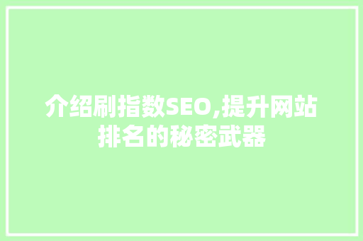 介绍刷指数SEO,提升网站排名的秘密武器