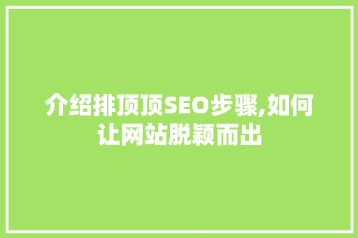 介绍排顶顶SEO步骤,如何让网站脱颖而出