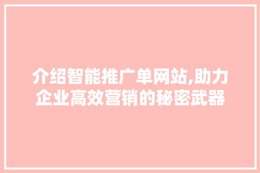 介绍智能推广单网站,助力企业高效营销的秘密武器