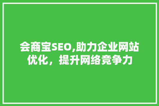 会商宝SEO,助力企业网站优化，提升网络竞争力