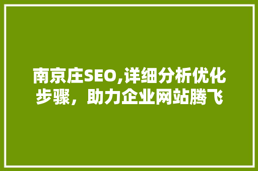 南京庄SEO,详细分析优化步骤，助力企业网站腾飞