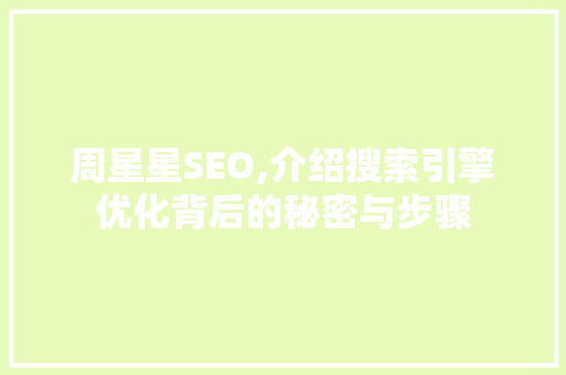 周星星SEO,介绍搜索引擎优化背后的秘密与步骤