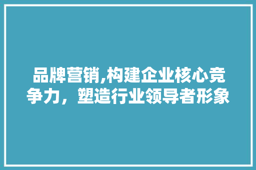 品牌营销,构建企业核心竞争力，塑造行业领导者形象